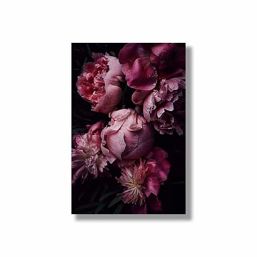 Closeup pinke Pfingstrosen Blüten modernes Wandbild mit Blumen für dein Wohnzimmer als Fineartprint von HEARTMADE Prints Postershop Fotografien von Anna Schneider