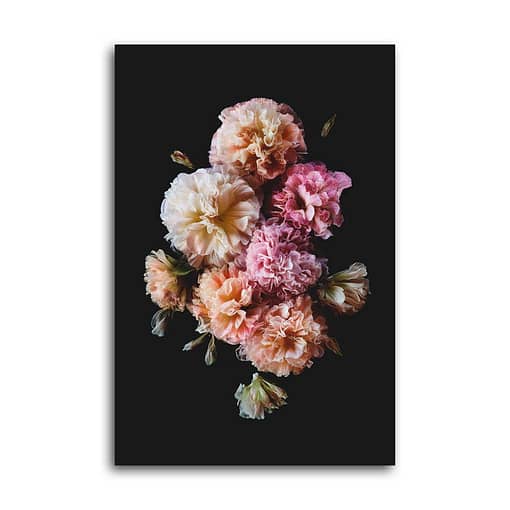 Poster rosa Blüten von Stockrosen