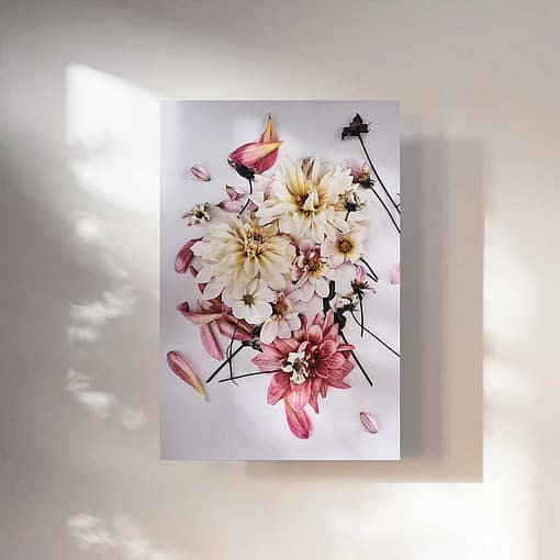 Moderne Blumenfotografie Wandbilder Dahlien in Pudertönen