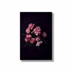 Moderne Wandbilder mit Blumen Pfingstrosenstrauß auf schwarzem Untergrund HEARTMADE Prints Postershop Fotografien von Anna Schneider